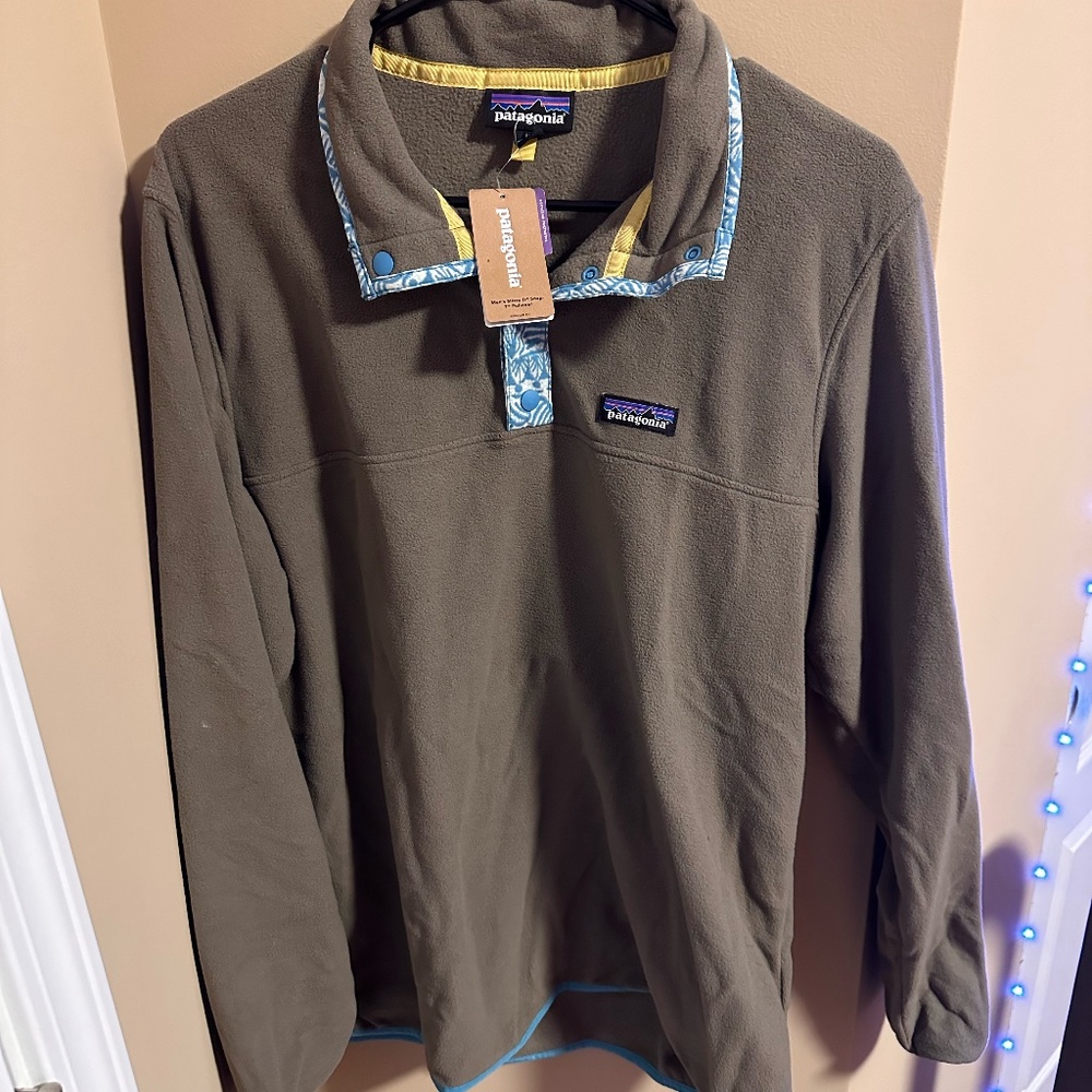 Patagonia Men's Micro D Snap-T Pullover